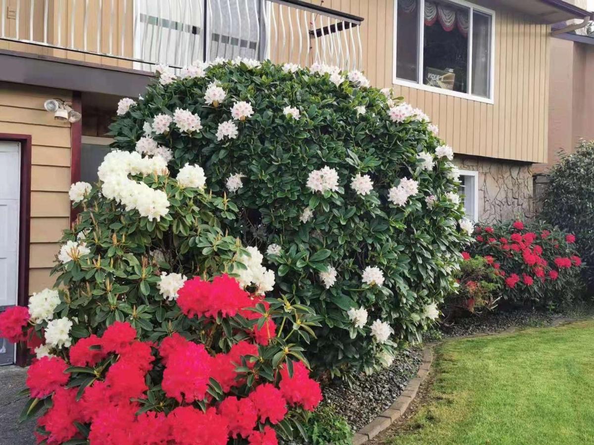Richmond Vancouver Airport Comfy Home Eksteriør bilde